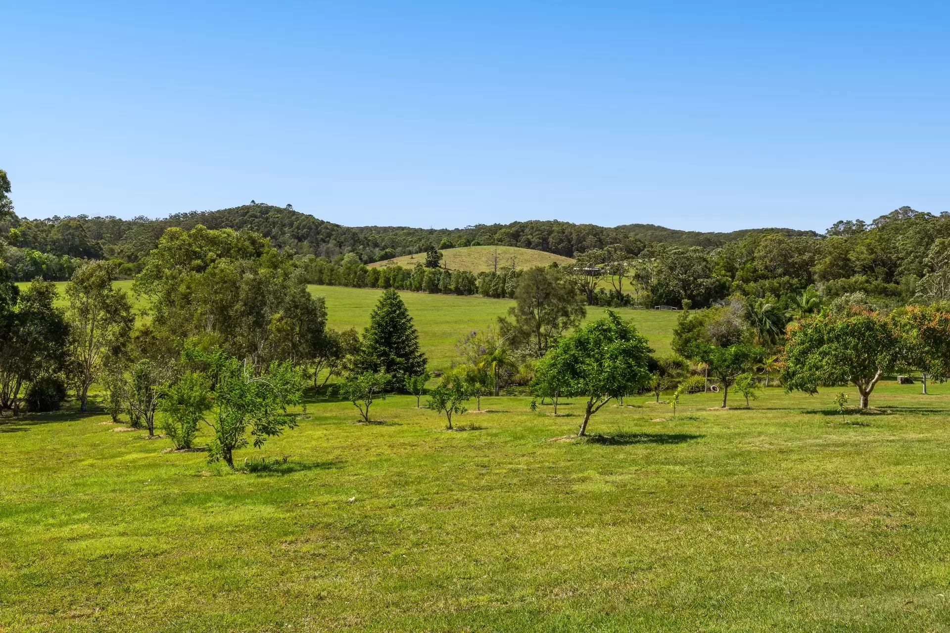 65 Armstrong Lane, Broken Head For Sale by Byron Bay Sotheby's International Realty - image 1