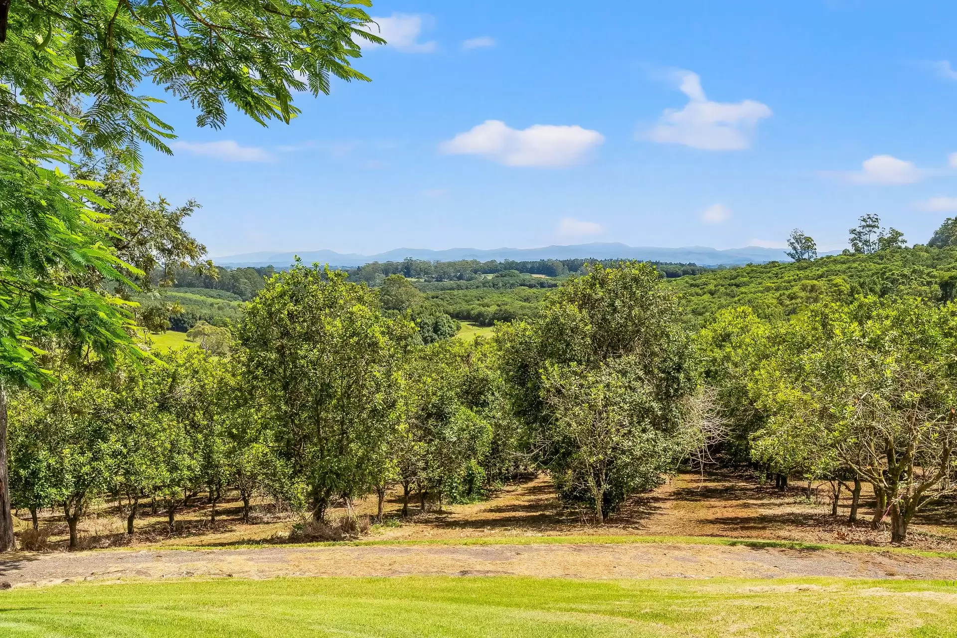 475 Pearces Creek Road, Alstonvale Sold by Byron Bay Sotheby's International Realty - image 1
