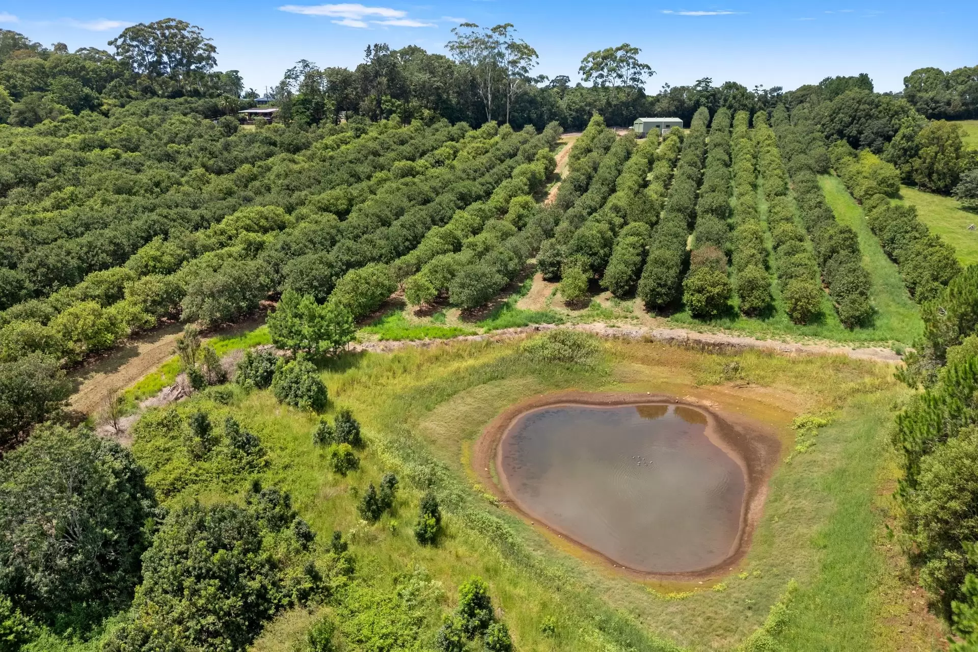475 Pearces Creek Road, Alstonvale Sold by Byron Bay Sotheby's International Realty - image 1