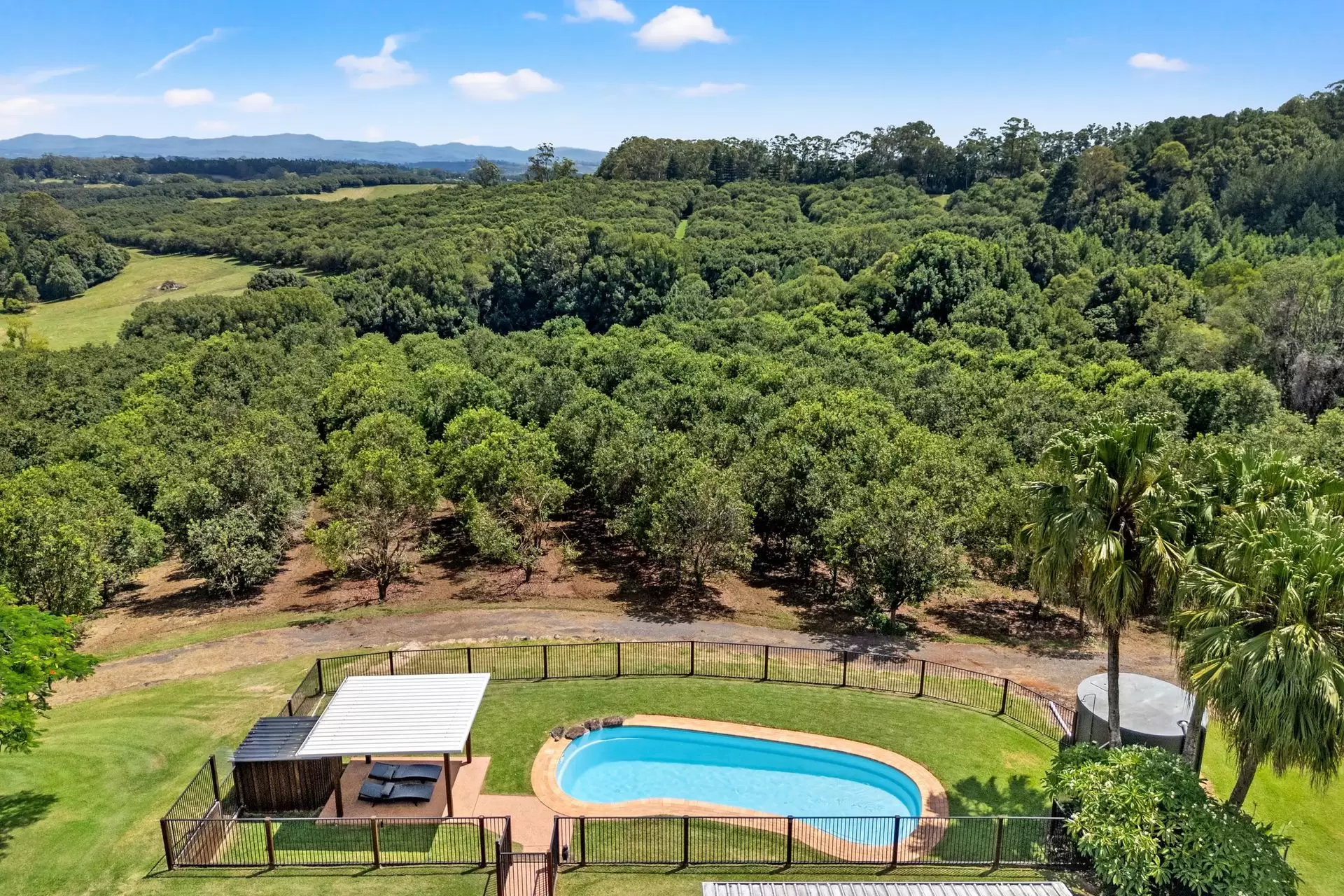 475 Pearces Creek Road, Alstonvale Sold by Byron Bay Sotheby's International Realty - image 1