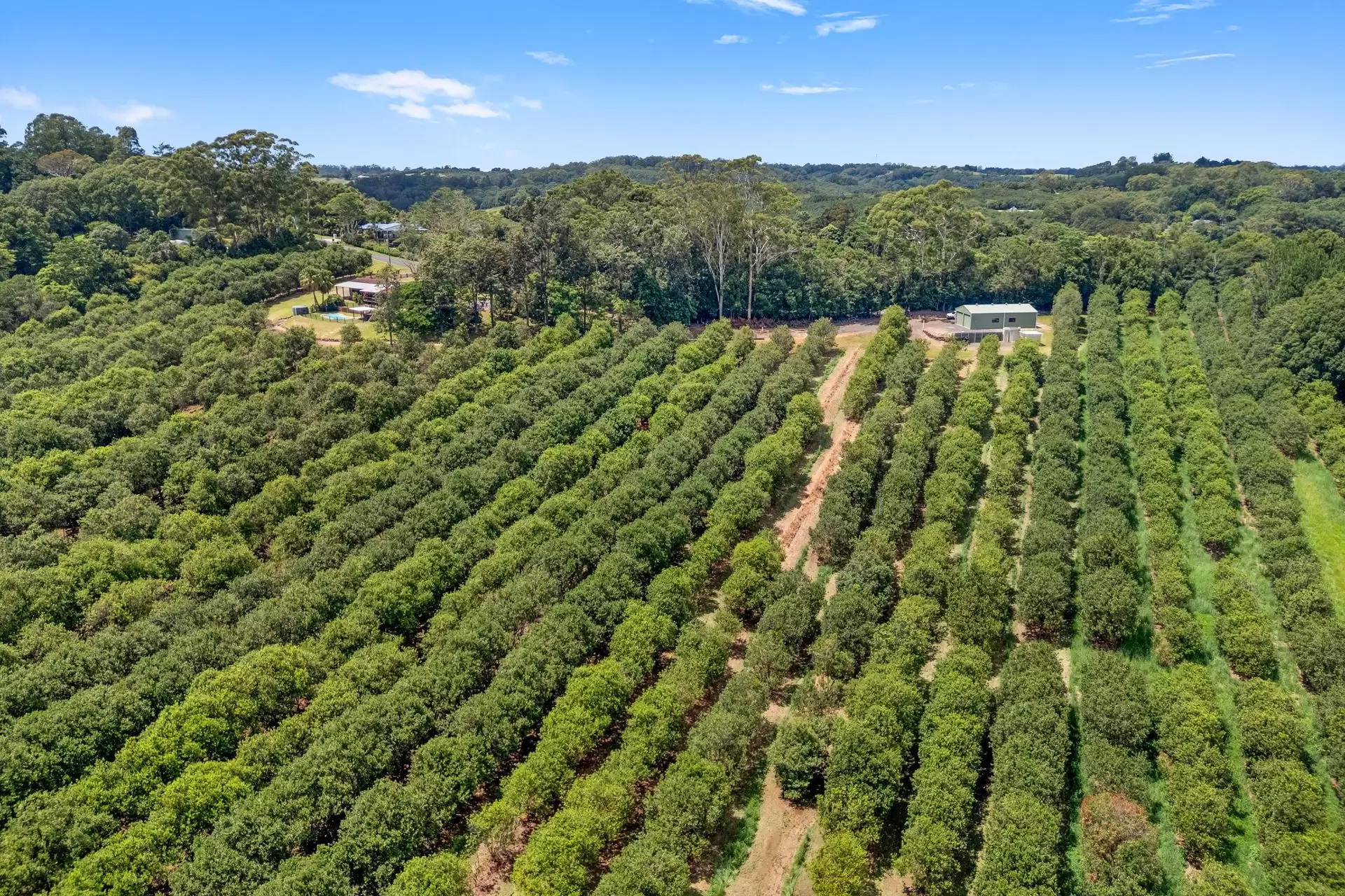 475 Pearces Creek Road, Alstonvale Sold by Byron Bay Sotheby's International Realty - image 1