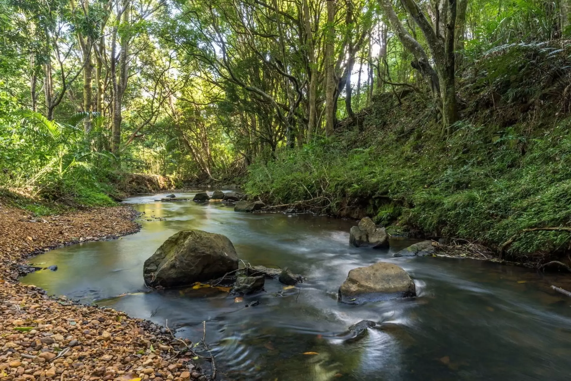 10 Byron Creek Road, Coopers Shoot Sold by Byron Bay Sotheby's International Realty - image 1
