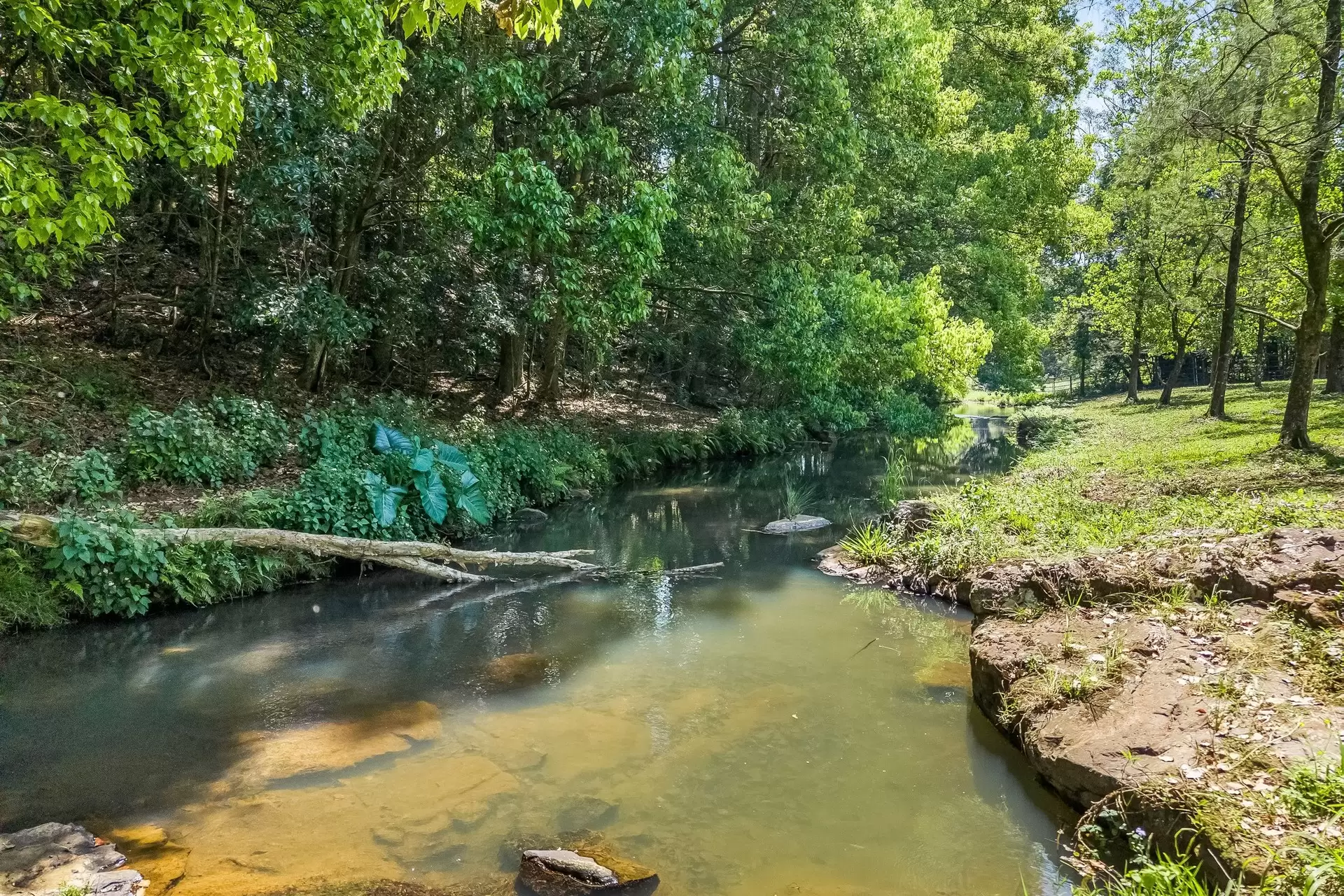377 Pearces Creek Road, Alstonvale Sold by Byron Bay Sotheby's International Realty - image 1