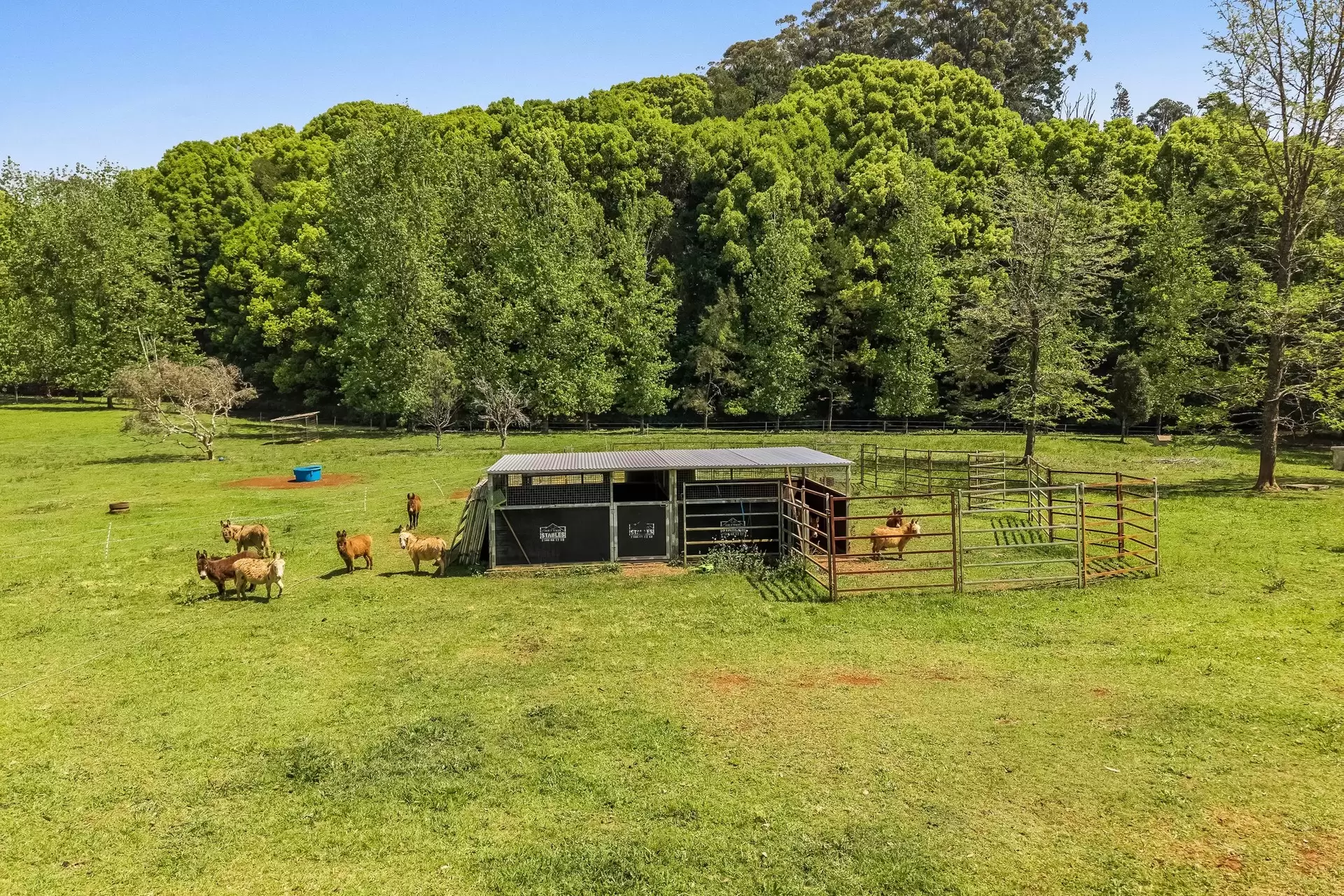 377 Pearces Creek Road, Alstonvale Sold by Byron Bay Sotheby's International Realty - image 1