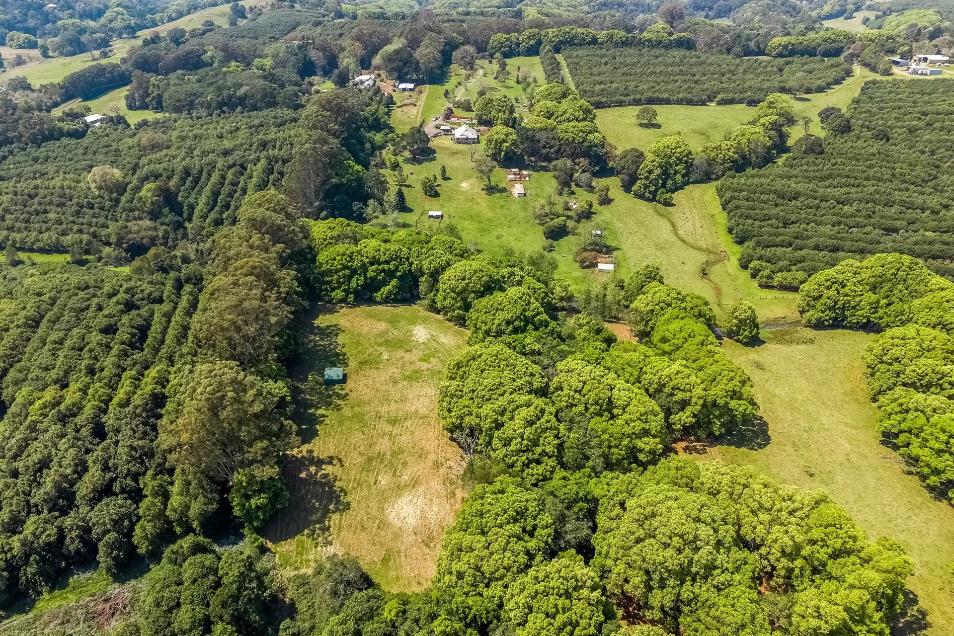 377 Pearces Creek Road, Alstonvale Sold by Byron Bay Sotheby's International Realty - image 1