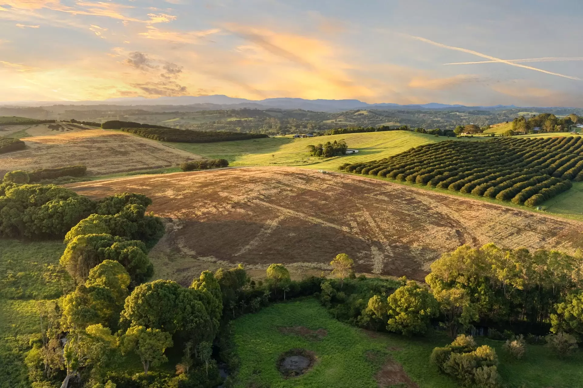 1141 Friday Hut Road, Binna Burra & 36b Brooklet Road, Newrybar For Sale by Byron Bay Sotheby's International Realty - image 1