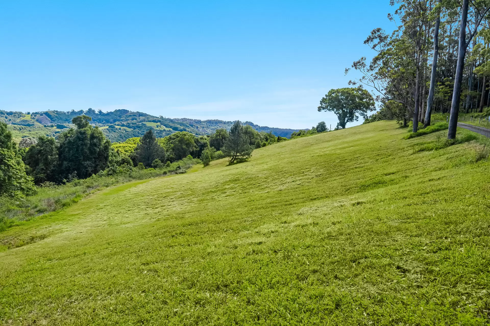 510 Goonengerry Road, Montecollum For Sale by Byron Bay Sotheby's International Realty - image 1