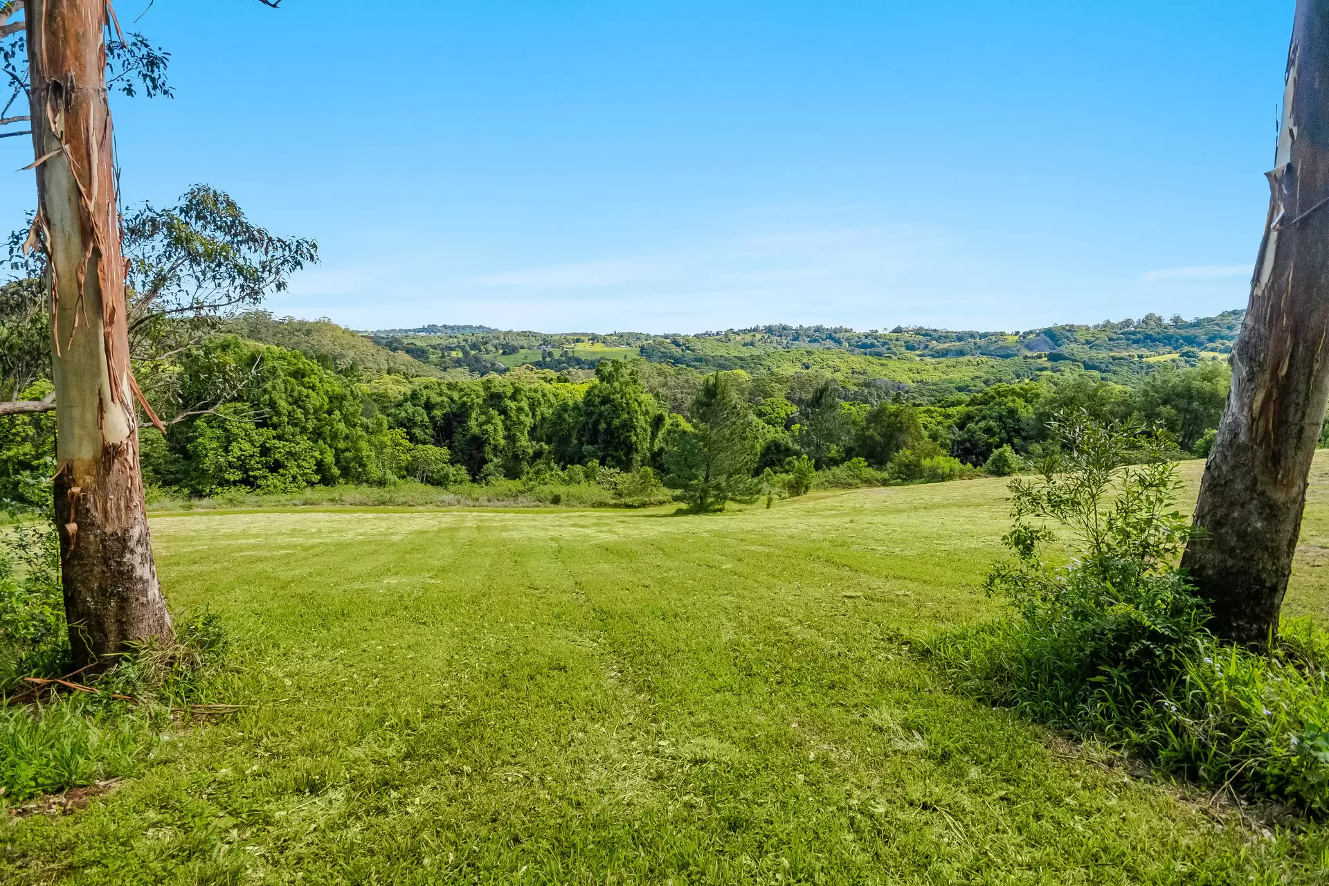 510 Goonengerry Road, Montecollum For Sale by Byron Bay Sotheby's International Realty - image 1