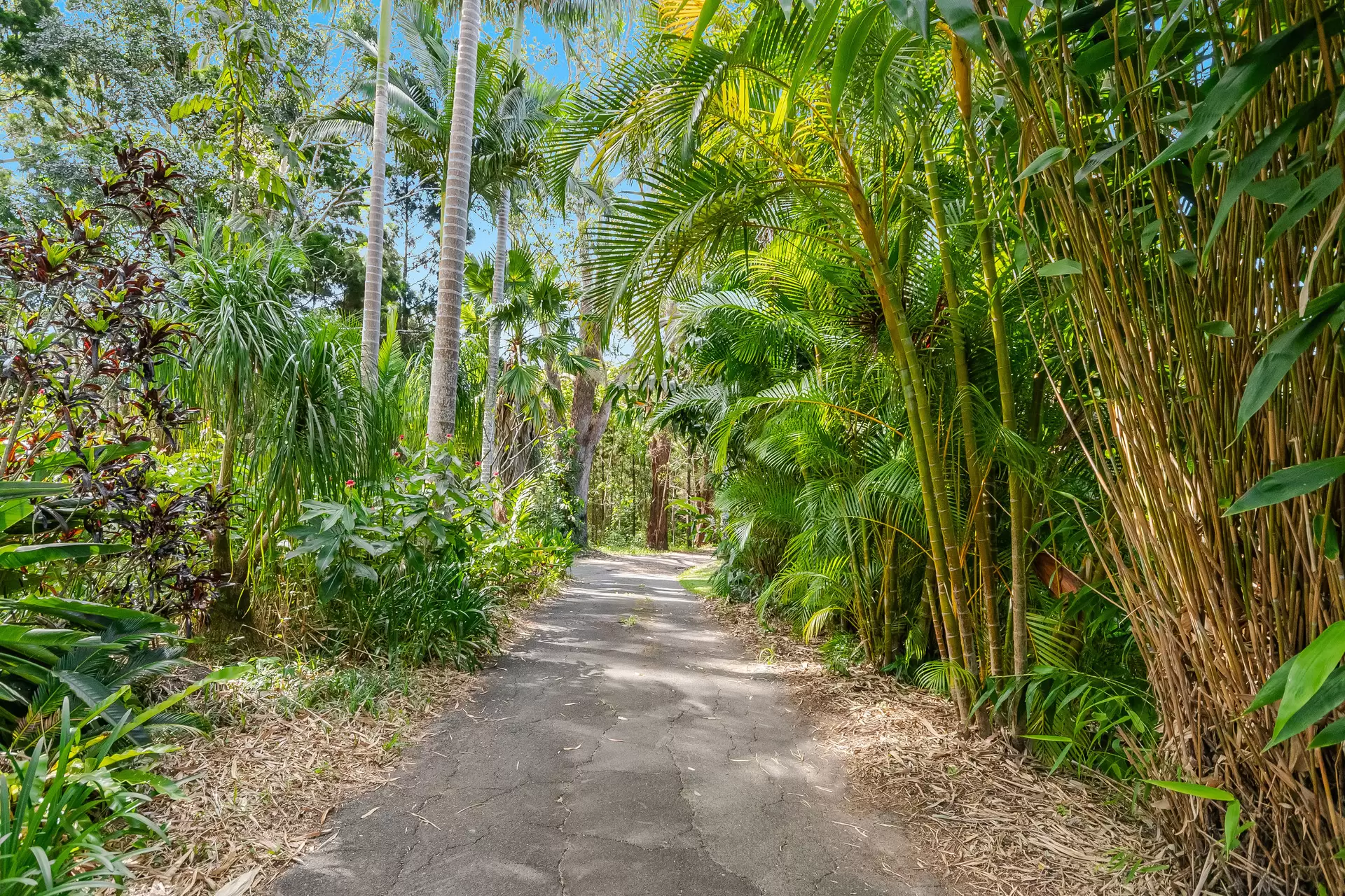 510 Goonengerry Road, Montecollum For Sale by Byron Bay Sotheby's International Realty - image 1