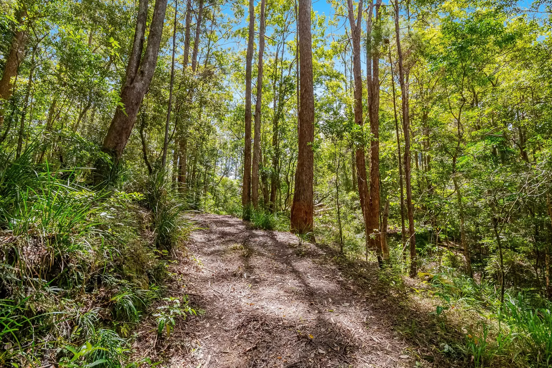 510 Goonengerry Road, Montecollum For Sale by Byron Bay Sotheby's International Realty - image 1