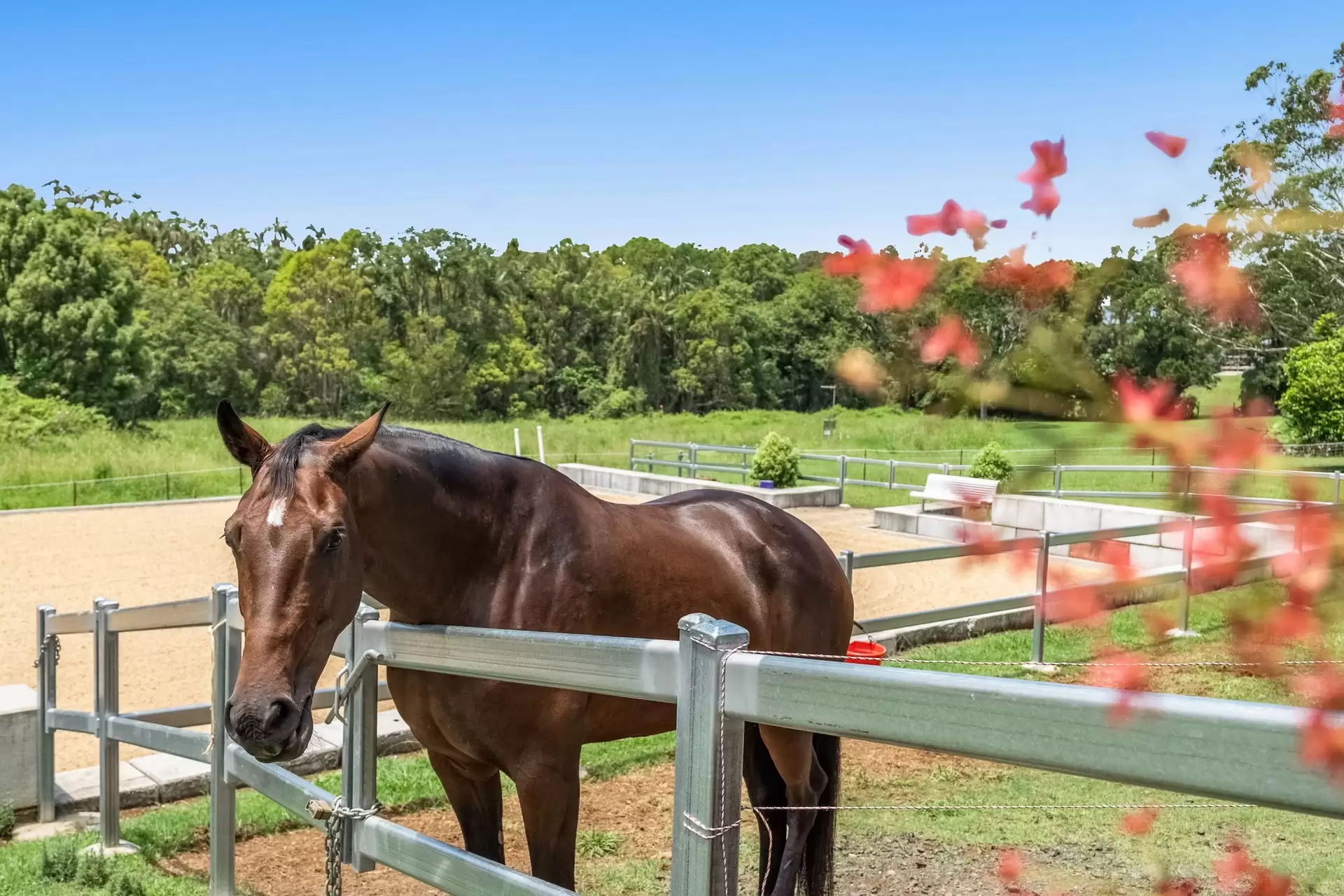 16 Tara Downs, Lennox Head For Sale by Byron Bay Sotheby's International Realty - image 1