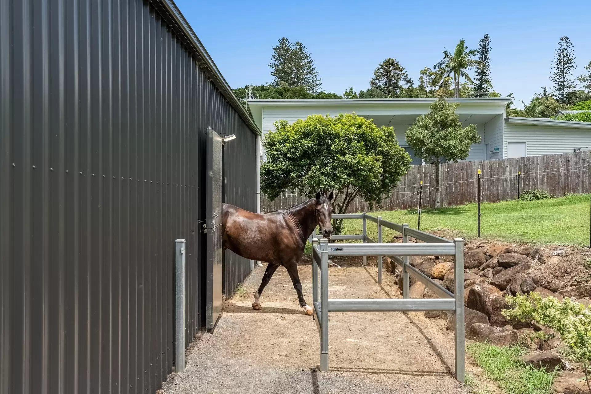 16 Tara Downs, Lennox Head For Sale by Byron Bay Sotheby's International Realty - image 1
