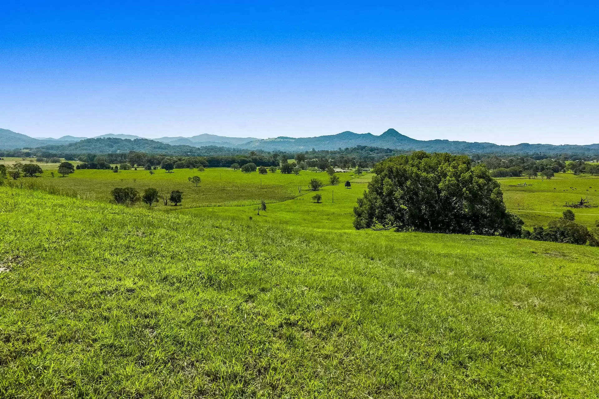 Lot 2 60 Lagoon Drive, Myocum For Sale by Byron Bay Sotheby's International Realty - image 1