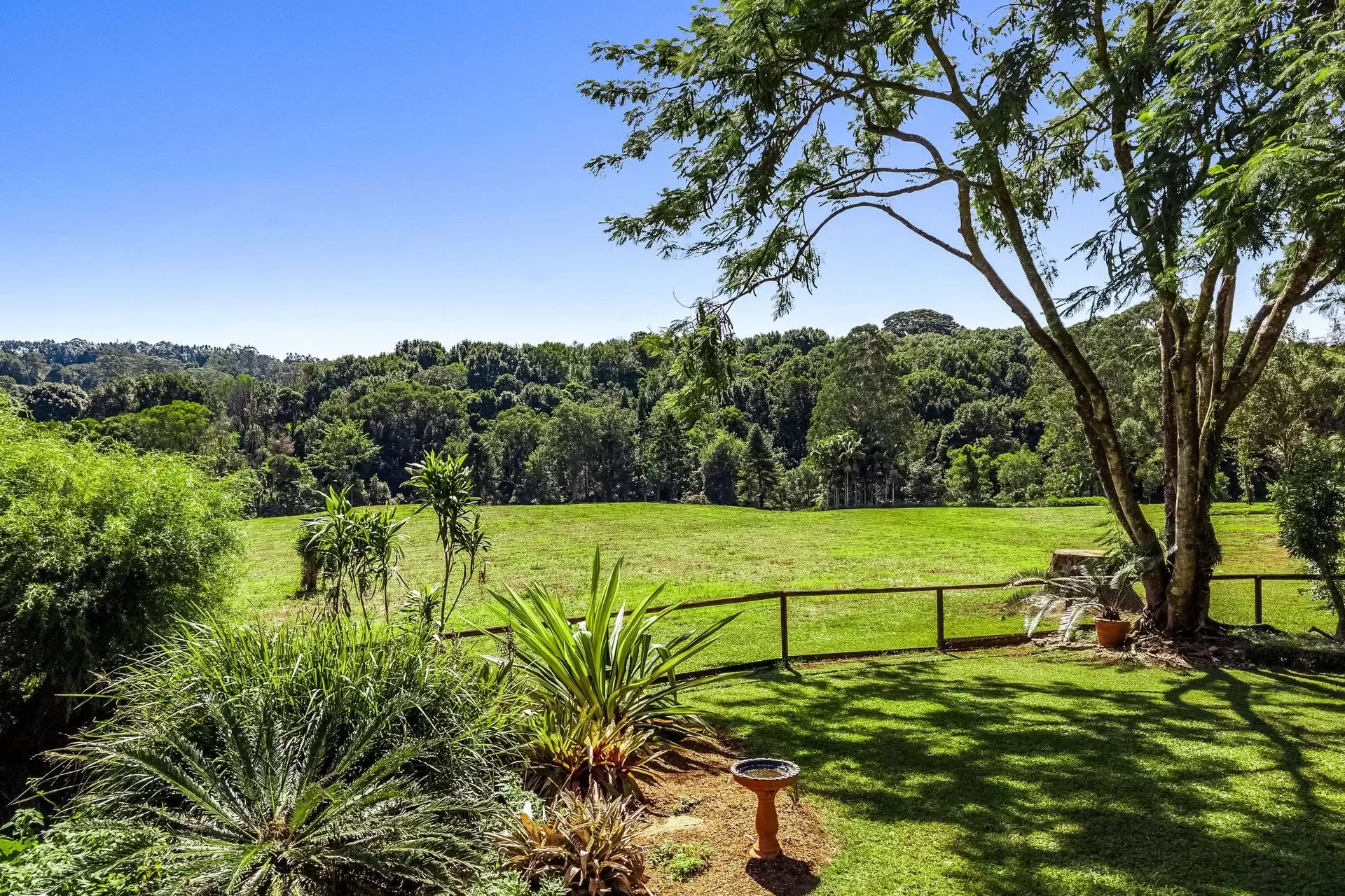 120 Alstonvale Road, Alstonvale Sold by Byron Bay Sotheby's International Realty - image 1