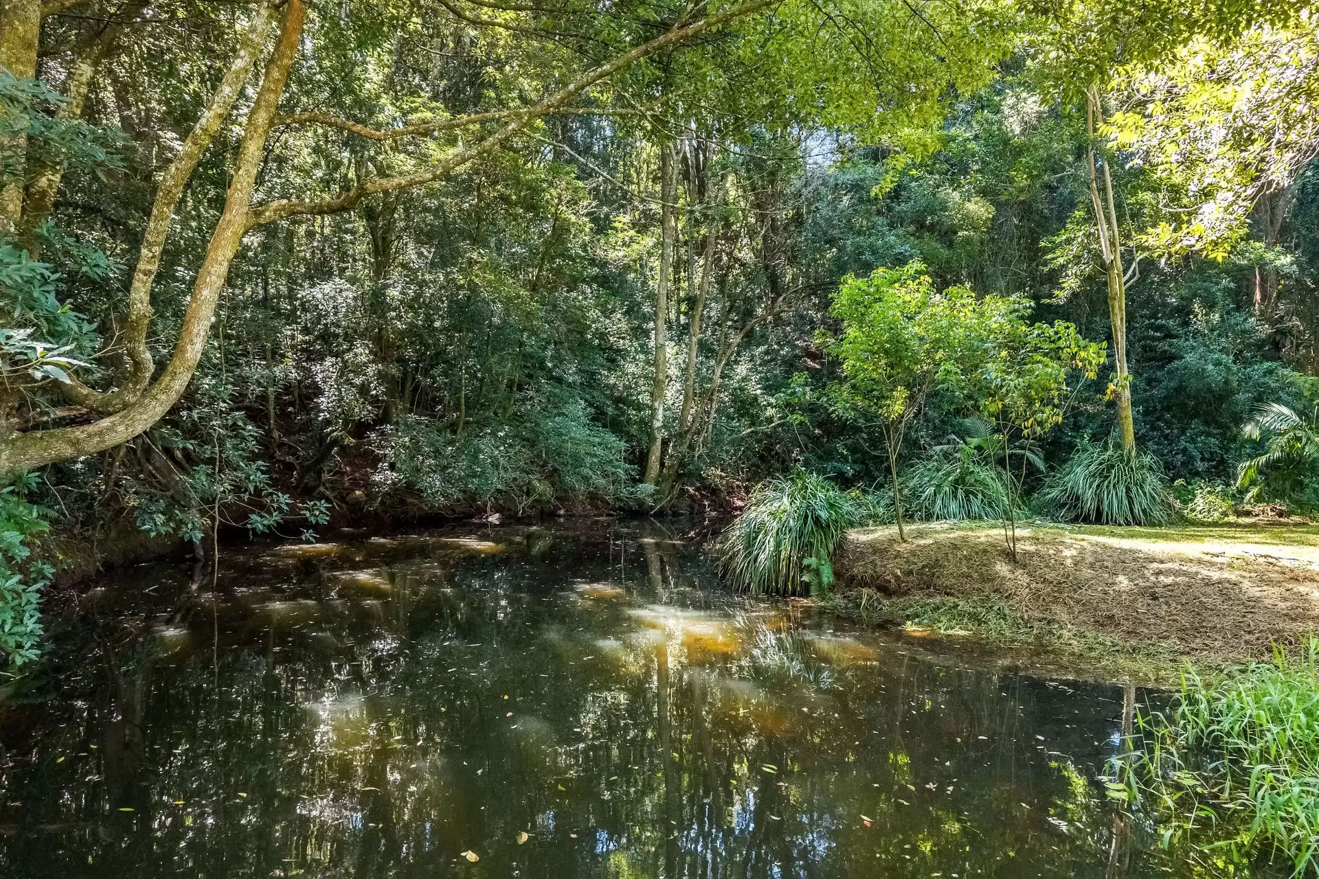 120 Alstonvale Road, Alstonvale Sold by Byron Bay Sotheby's International Realty - image 1