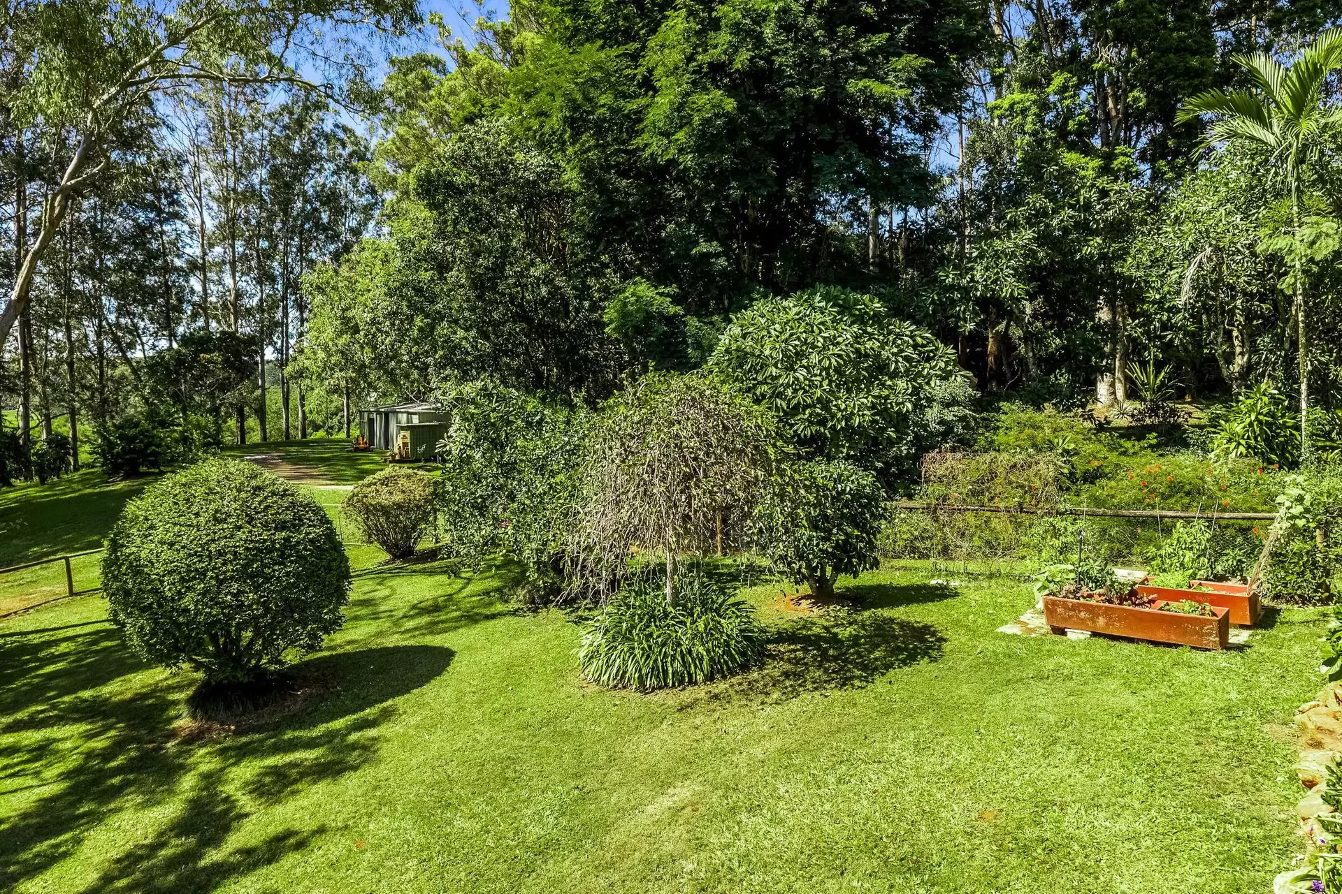 120 Alstonvale Road, Alstonvale Sold by Byron Bay Sotheby's International Realty - image 1