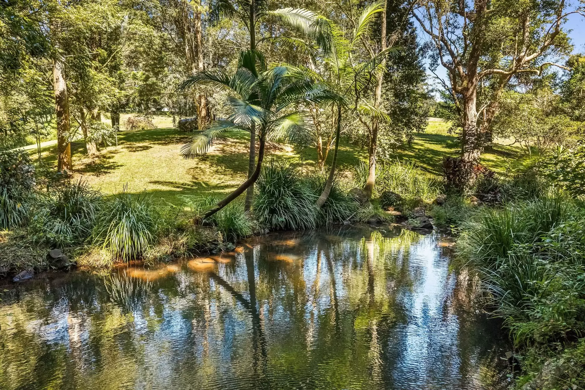 120 Alstonvale Road, Alstonvale Sold by Byron Bay Sotheby's International Realty - image 1