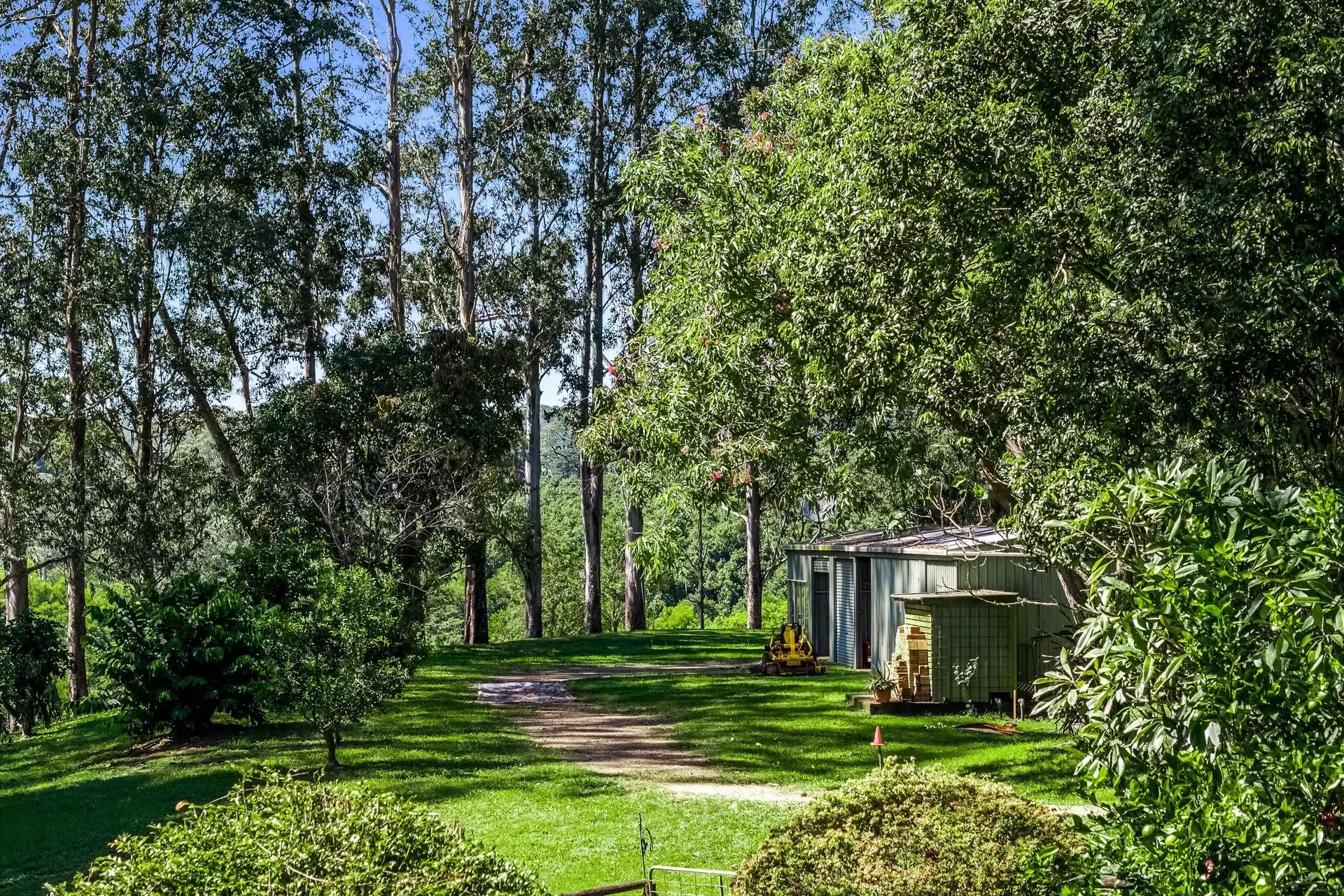 120 Alstonvale Road, Alstonvale Sold by Byron Bay Sotheby's International Realty - image 1