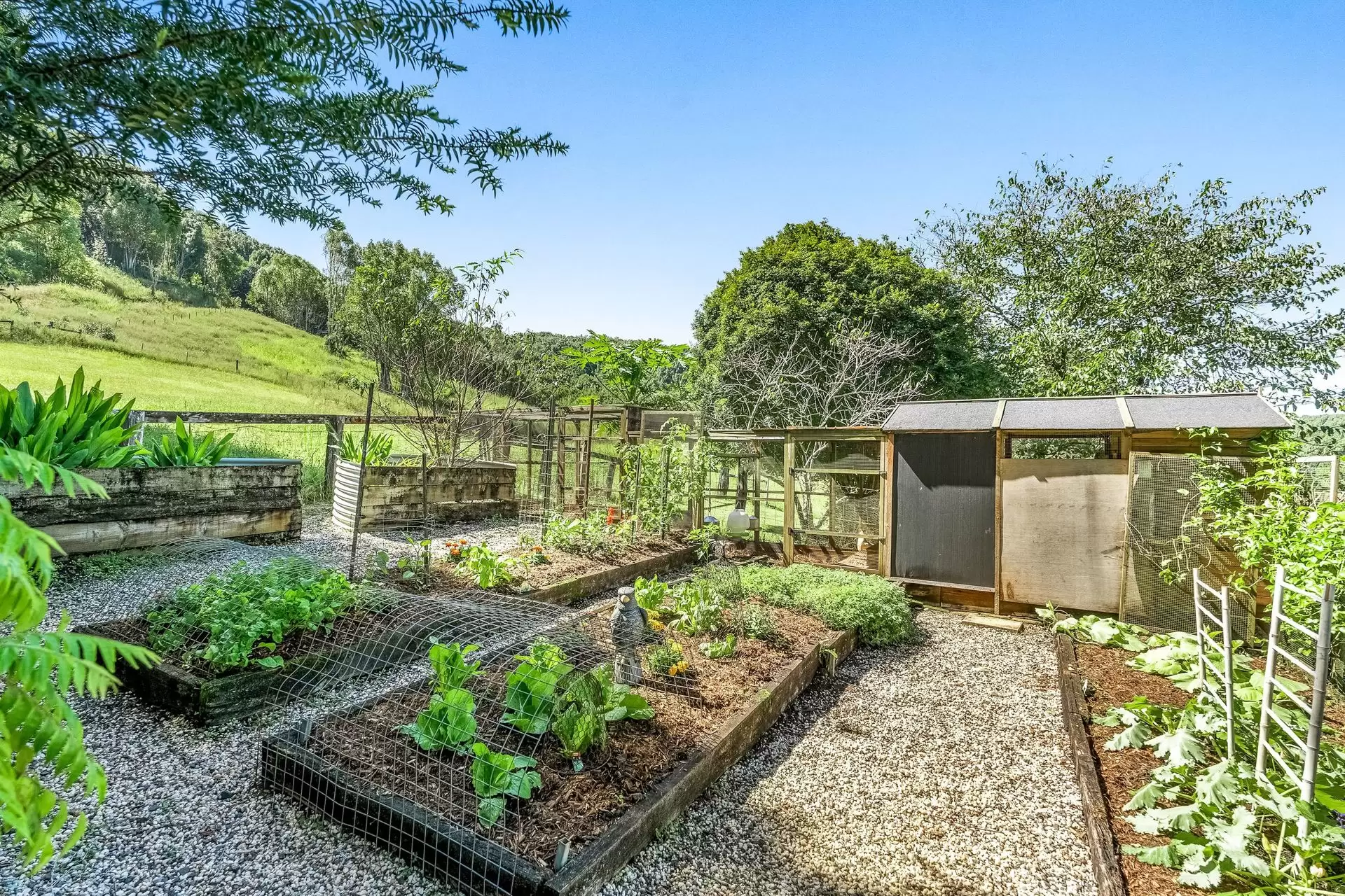 50 Strong Road, Corndale For Sale by Byron Bay Sotheby's International Realty - image 1