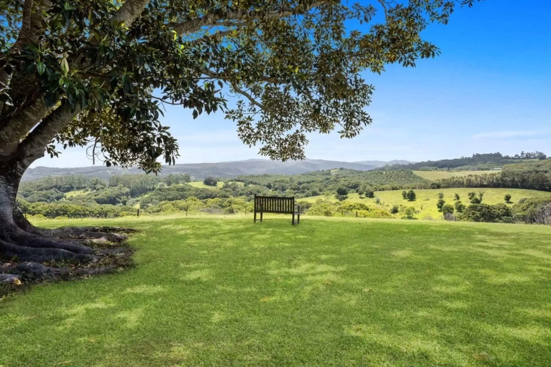 189 Federal Drive, Federal For Sale by Byron Bay Sotheby's International Realty - image 1