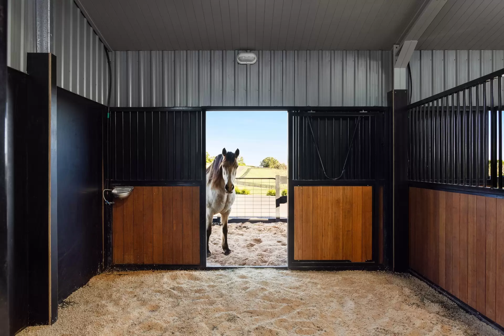 305 Coolamon Scenic Drive, Coorabell For Sale by Byron Bay Sotheby's International Realty - image 1