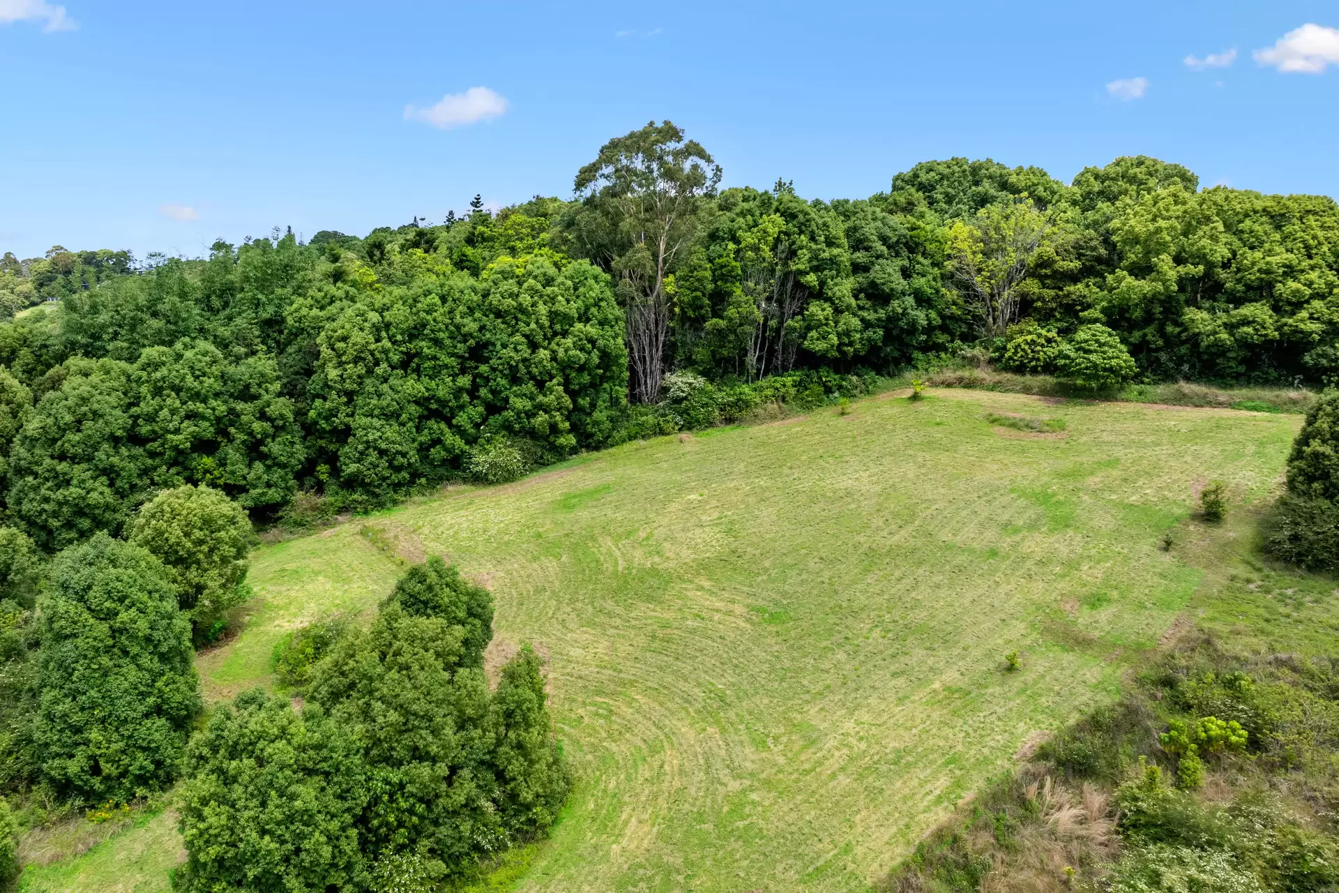 550 Coolamon Scenic Drive, Coorabell Sold by Byron Bay Sotheby's International Realty - image 1