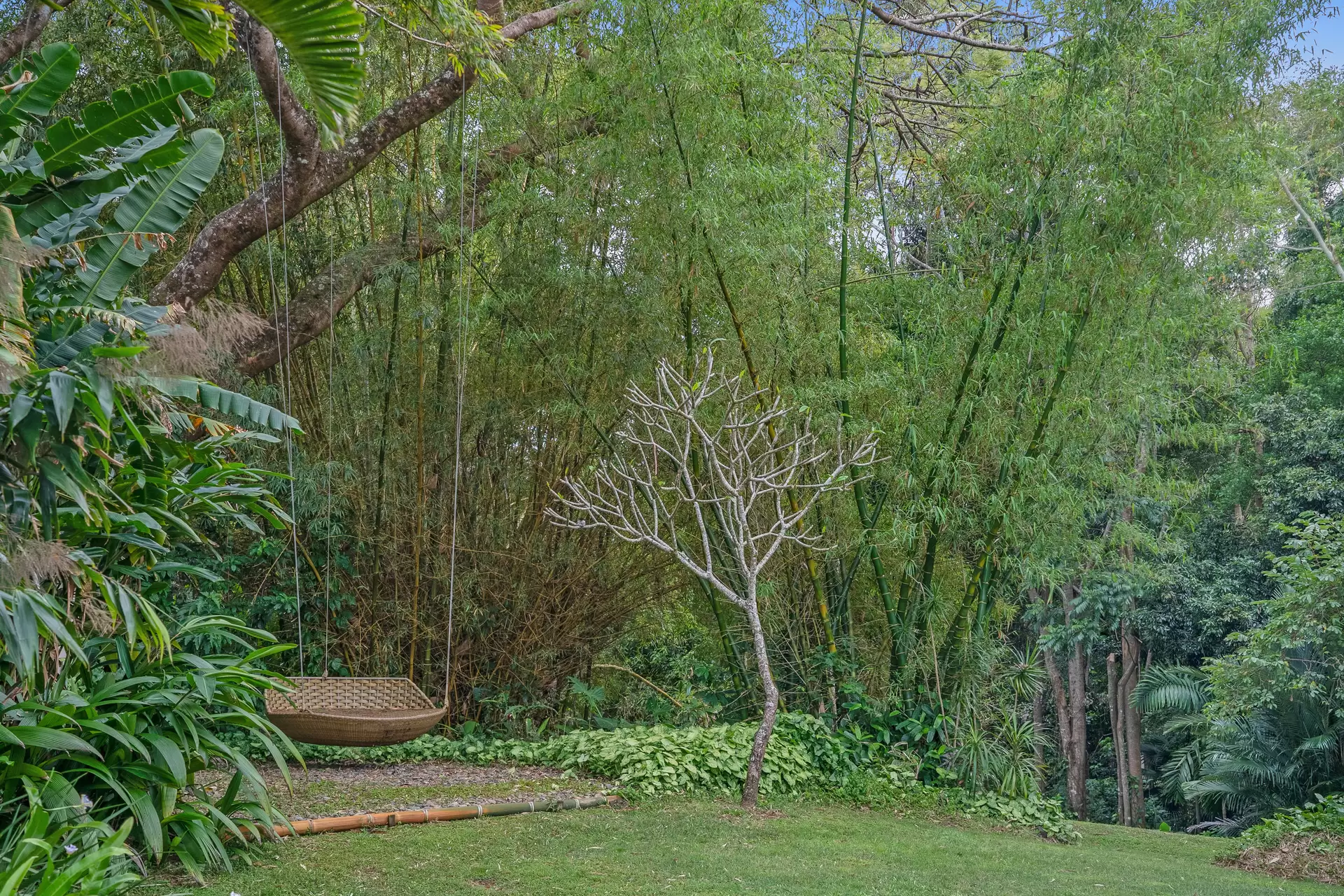 221 Kennedys Lane, Ewingsdale Sold by Byron Bay Sotheby's International Realty - image 1