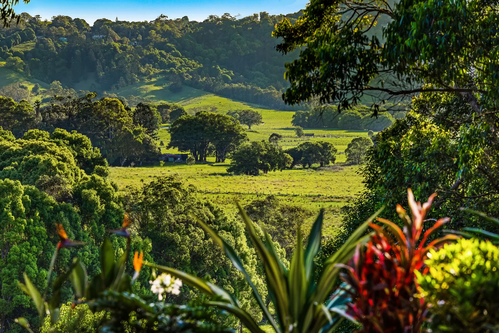 343 Tyagarah Road, Myocum Sold by Byron Bay Sotheby's International Realty - image 1