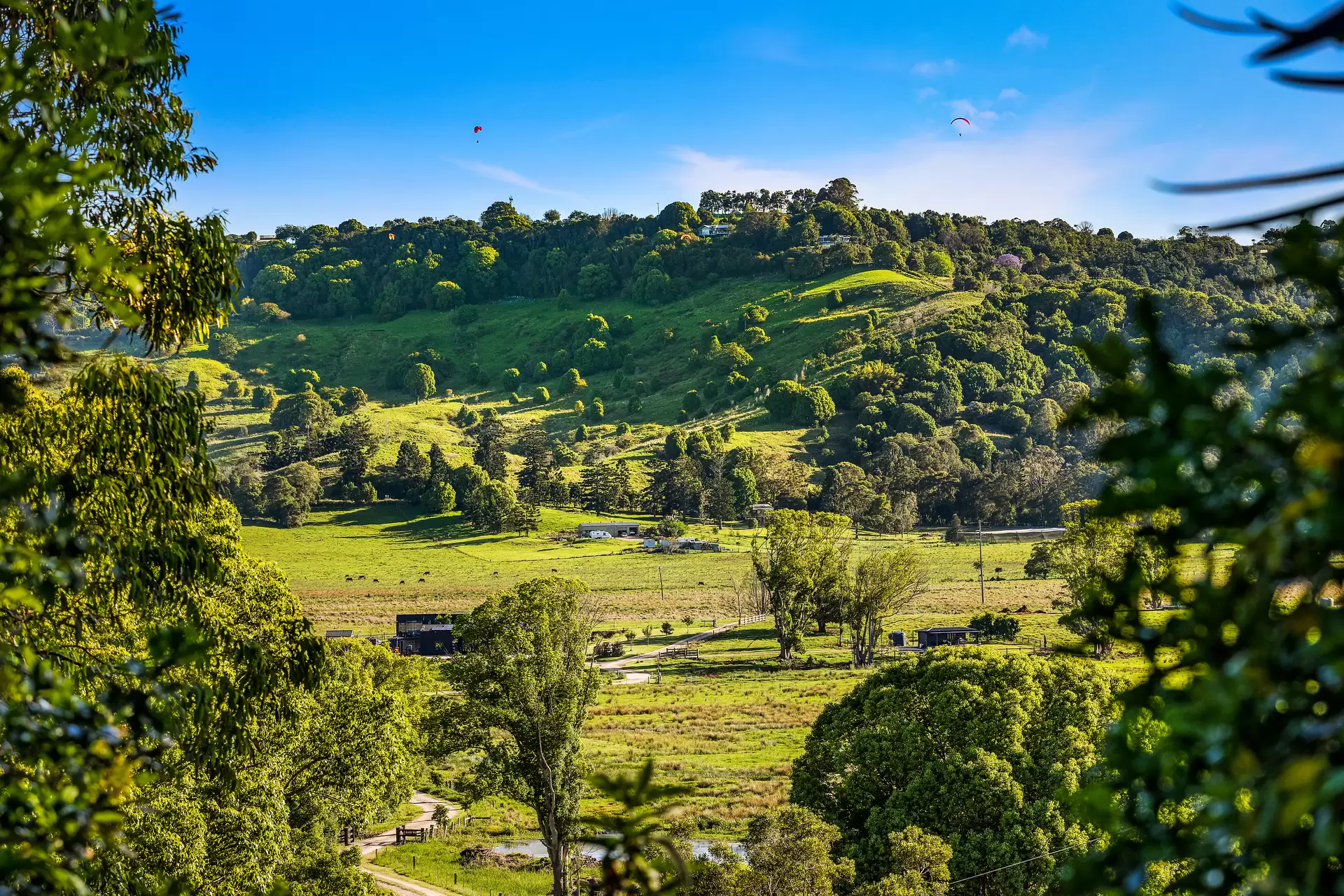 343 Tyagarah Road, Myocum Sold by Byron Bay Sotheby's International Realty - image 1