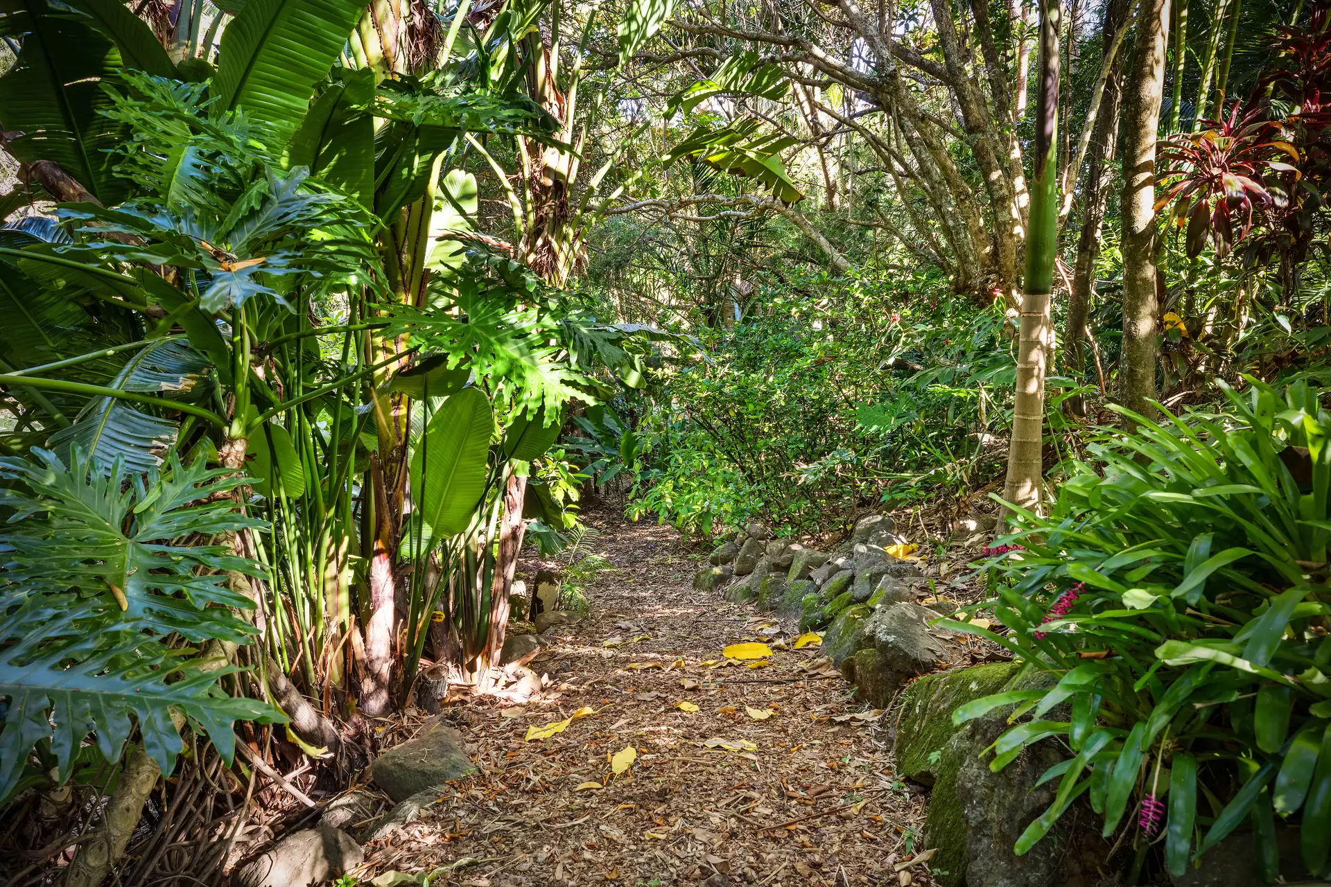 343 Tyagarah Road, Myocum Sold by Byron Bay Sotheby's International Realty - image 1