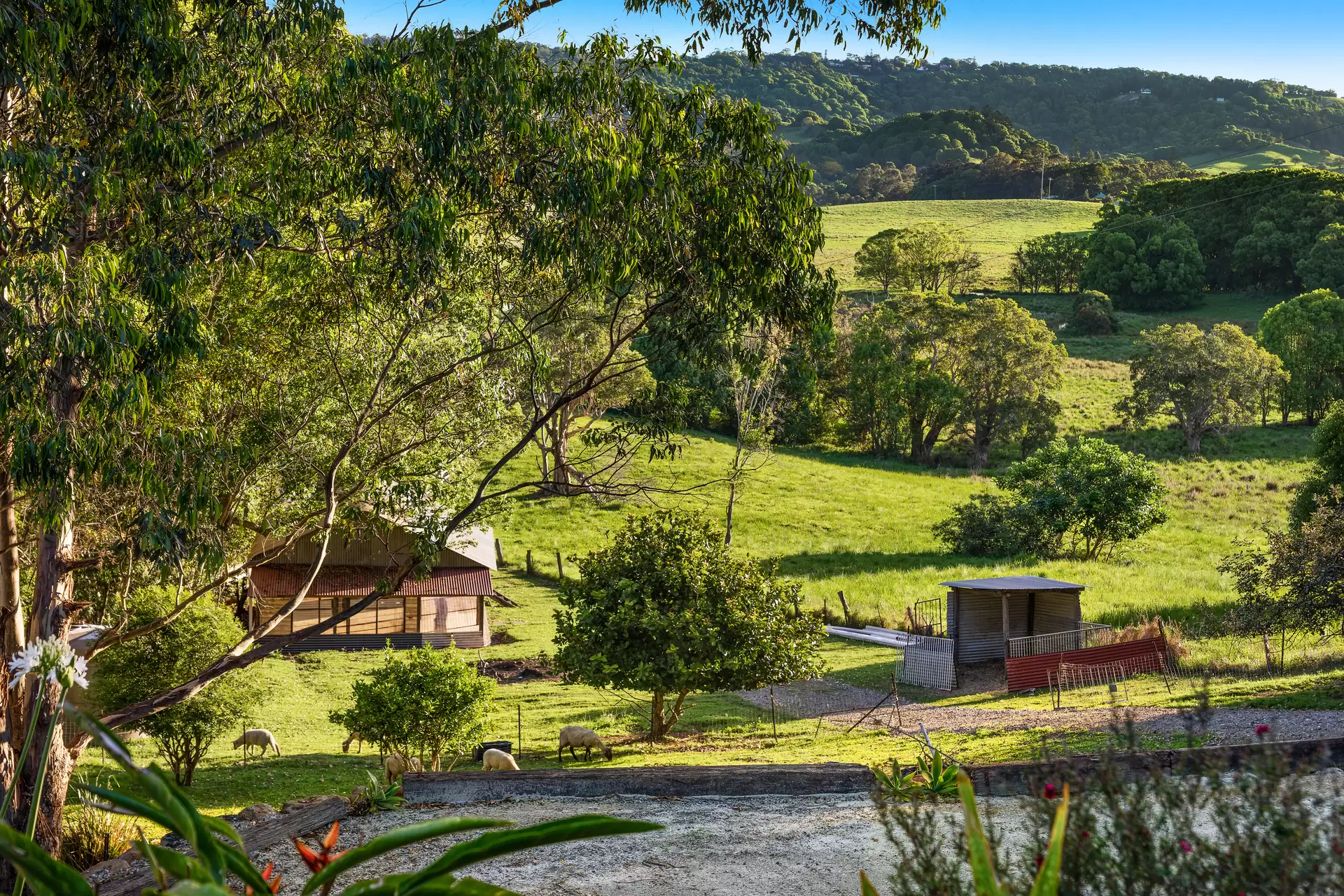 343 Tyagarah Road, Myocum Sold by Byron Bay Sotheby's International Realty - image 1