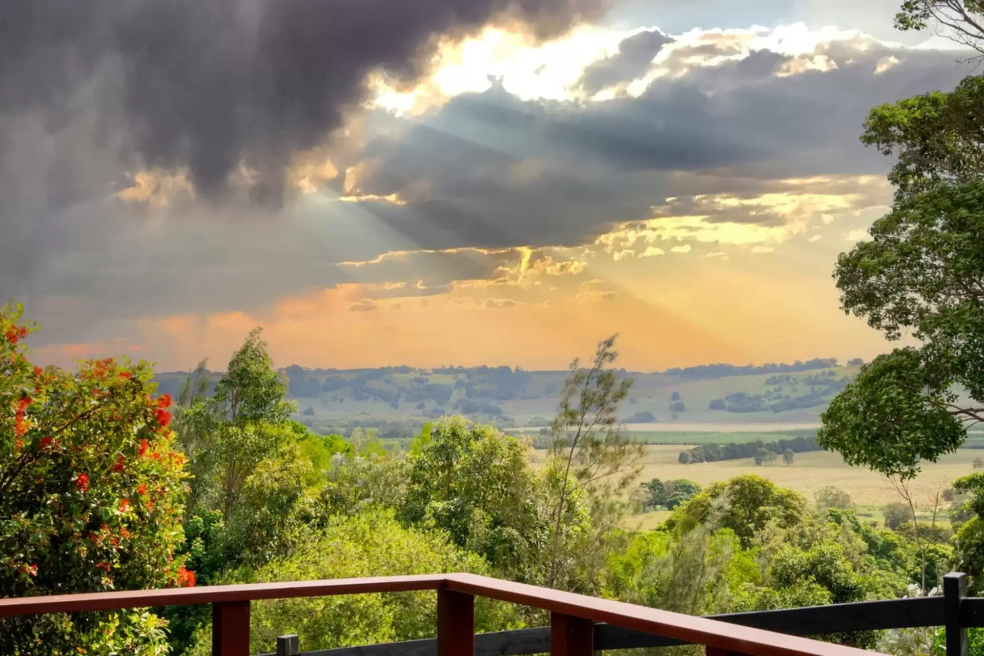 78 Owenia Way, Broken Head For Sale by Byron Bay Sotheby's International Realty - image 1